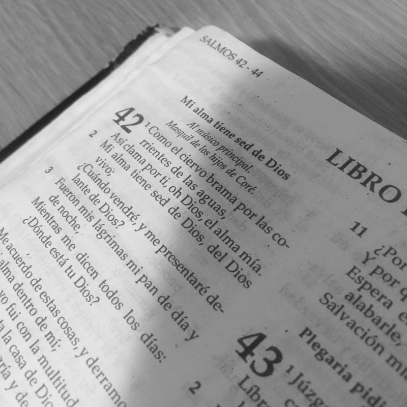 10 Maneras Novedosas De Estudiar Tu Biblia